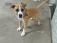 Spike
