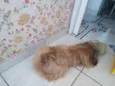 Bob