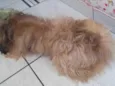 Bob