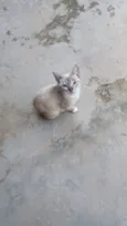 Sabrina