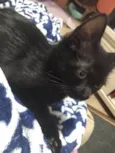 Denzel