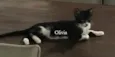 OLIVIA