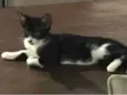 OLIVIA