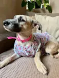 Princesa