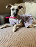 Princesa