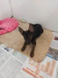 Tico e Teco