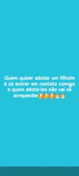 Escolha 