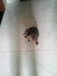 Lili