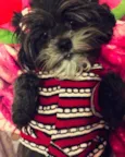 Lili