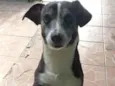 Bebê