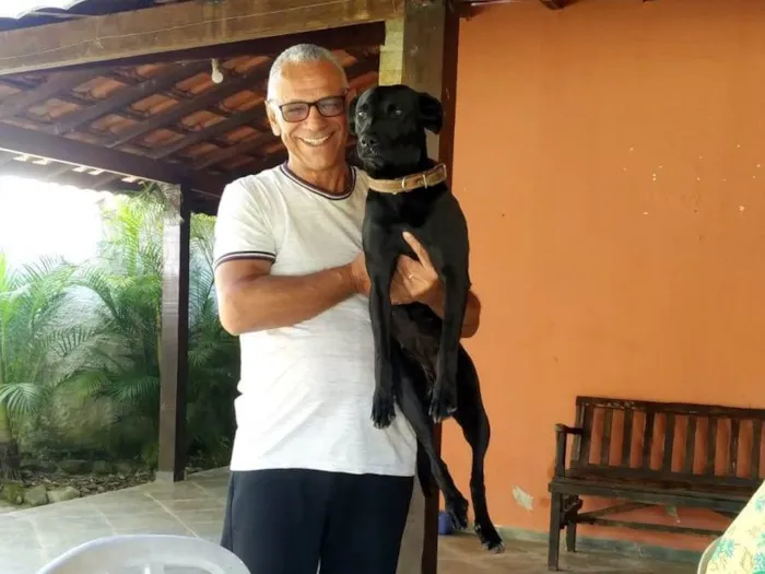 Cachorro ra a Mista idade 2 anos nome Não sabemos