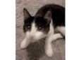 Kiara