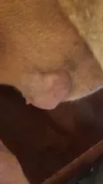 Animal que precisa de ajuda