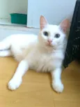 Maitê 