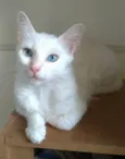 Maitê 
