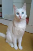 Maitê 