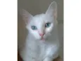 Maitê 