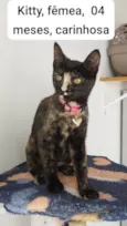 KITTY CASTRADA