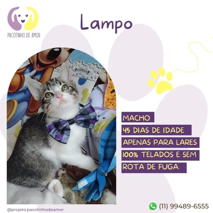 Lampo