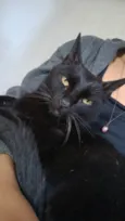 Kyara