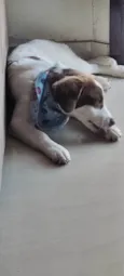 Nina