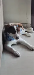 Nina