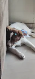 Nina