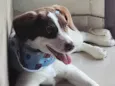 Nina
