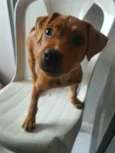 Bruce