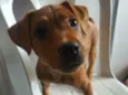 Bruce