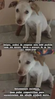 Princesa 