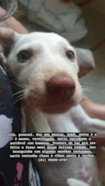 Princesa 