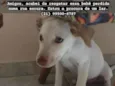Princesa 