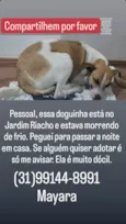 Sem nome