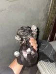 Cachorro raça SRD-ViraLata idade 2 a 6 meses nome BEN