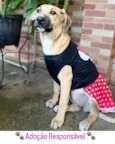 Laís 