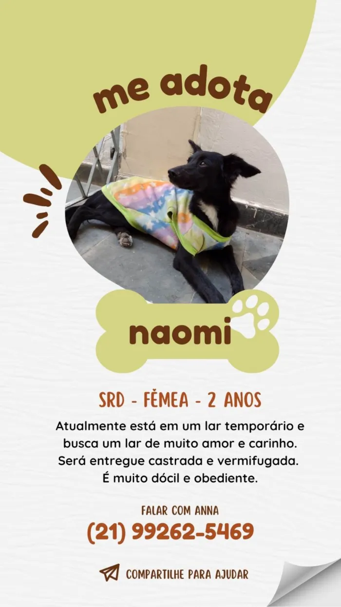 Cachorro ra a SRD-ViraLata idade 2 anos nome Naomi