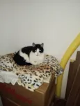 Mimi e Betina