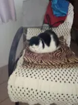 Mimi e Betina