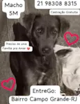 Fumaça 