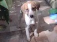 Bob