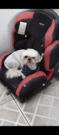 Bolinha