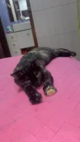 Miuxa 
