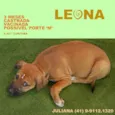 Leona