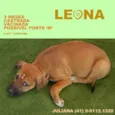 Leona