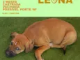 Leona