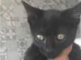 Edy