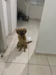 Duke