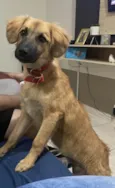 Duke