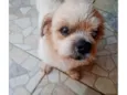 Nico